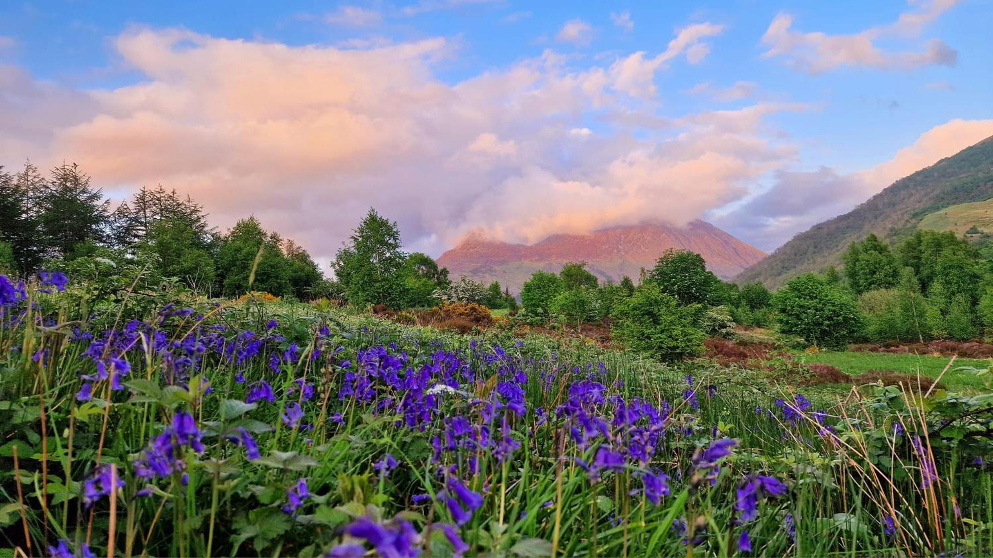 Bothan Creag Sobhrag Ballachulish Dış mekan fotoğraf