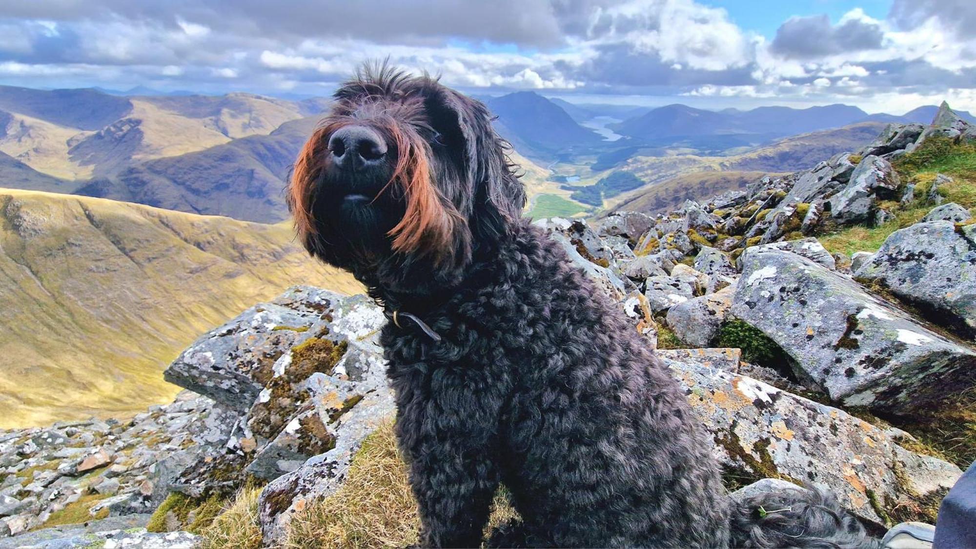 Bothan Creag Sobhrag Ballachulish Dış mekan fotoğraf